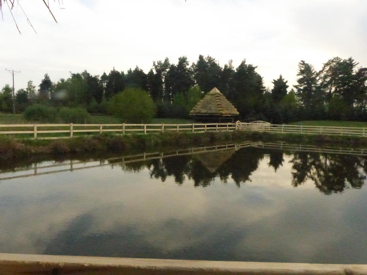 Karczma Goralska Bed & Breakfast Wisznice Luaran gambar